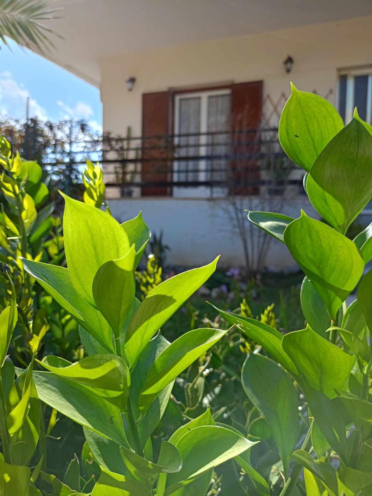Serene Country House นาฟปลิโอ ภายนอก รูปภาพ